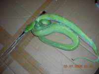 GTP0001.JPG
