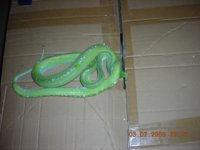 GTP0003.JPG