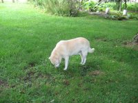 IMG_3337.jpg