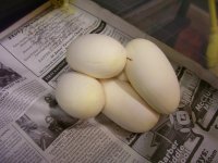 100_4102.jpg