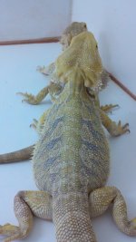 2011-06-07_18-35-46_906 (1).jpg