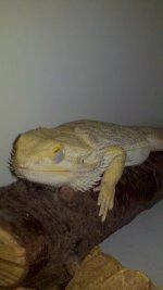 2011-06-07_22-21-43_454.jpg