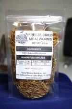 freezedriedmealworms.JPG