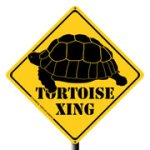 sign_tortoisexing_180.jpg
