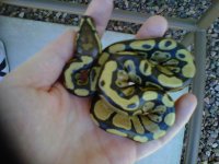 IMG00609-20110824-1130.jpg