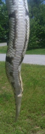 IMAG1107-1.jpg