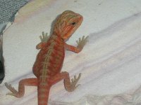 Picture 205.jpg