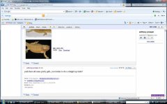 email 2.jpg