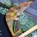 DSCN0732.JPG