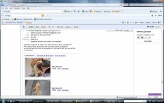 email 10.jpg