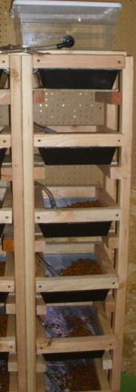 Copy of mice rack w water.JPG