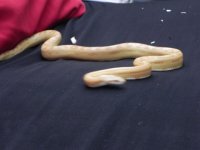 DSCN0519.JPG