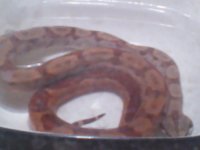 2011-05-09 21.41.14.jpg