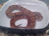 2011-05-09 21.41.34.jpg