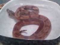 2011-05-09 21.41.48.jpg