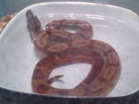 2011-05-09 21.41.56.jpg
