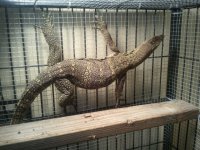 2011-05-19 07.11.57.jpg