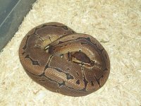 100_8070.jpg
