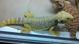 2011-07-02_16-09-53_896.jpg