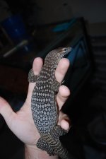 DSC_0162.jpg