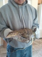 2011-05-19 10.04.46.jpg