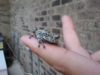 2011-06-28 07[1].43.54.jpg