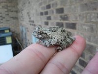 2011-06-28 07[1].42.53.jpg