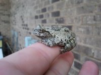 2011-06-28 07[1].43.29.jpg