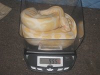 Camera 020.jpg