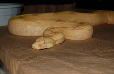 DSC_3056.JPG