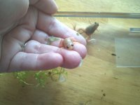 IMG_20110727_145909.jpg