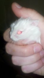 2011-05-10_13-27-06_307.jpg