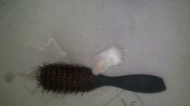 2011-05-10_13-27-35_353.jpg