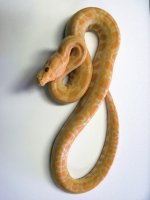 june 28 2011 036.jpg