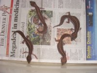 2011_07180001.JPG
