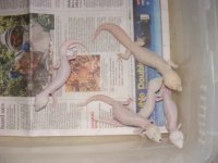 2011_07180010.JPG
