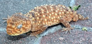 2011 06 07_7261.jpg