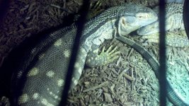 2011-06-28_15-50-34_363.jpg