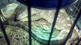 2011-06-28_15-50-49_789.jpg