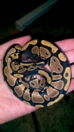 2011-08-24_17-59-34_163.jpg