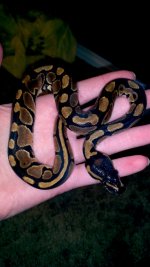 2011-08-24_17-58-25_488.jpg