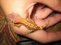 2011-06-19 041.jpg