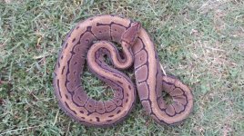 2011-08-11_17-06-49_267.jpg