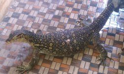 IMAG0173.jpg