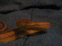 Picture 001.jpg