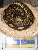 2011_07150032.JPG