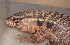 IMG_6699.jpg
