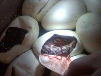 20110825125847.jpg