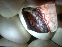 20110825125900.jpg