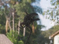 IMG_1050.jpg